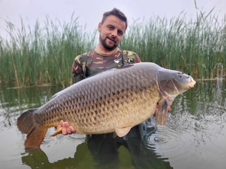 att.iAGdx6Sqo4rlnJPAZ88AGzVSF2nCj0qU-zZ0gj5wllY